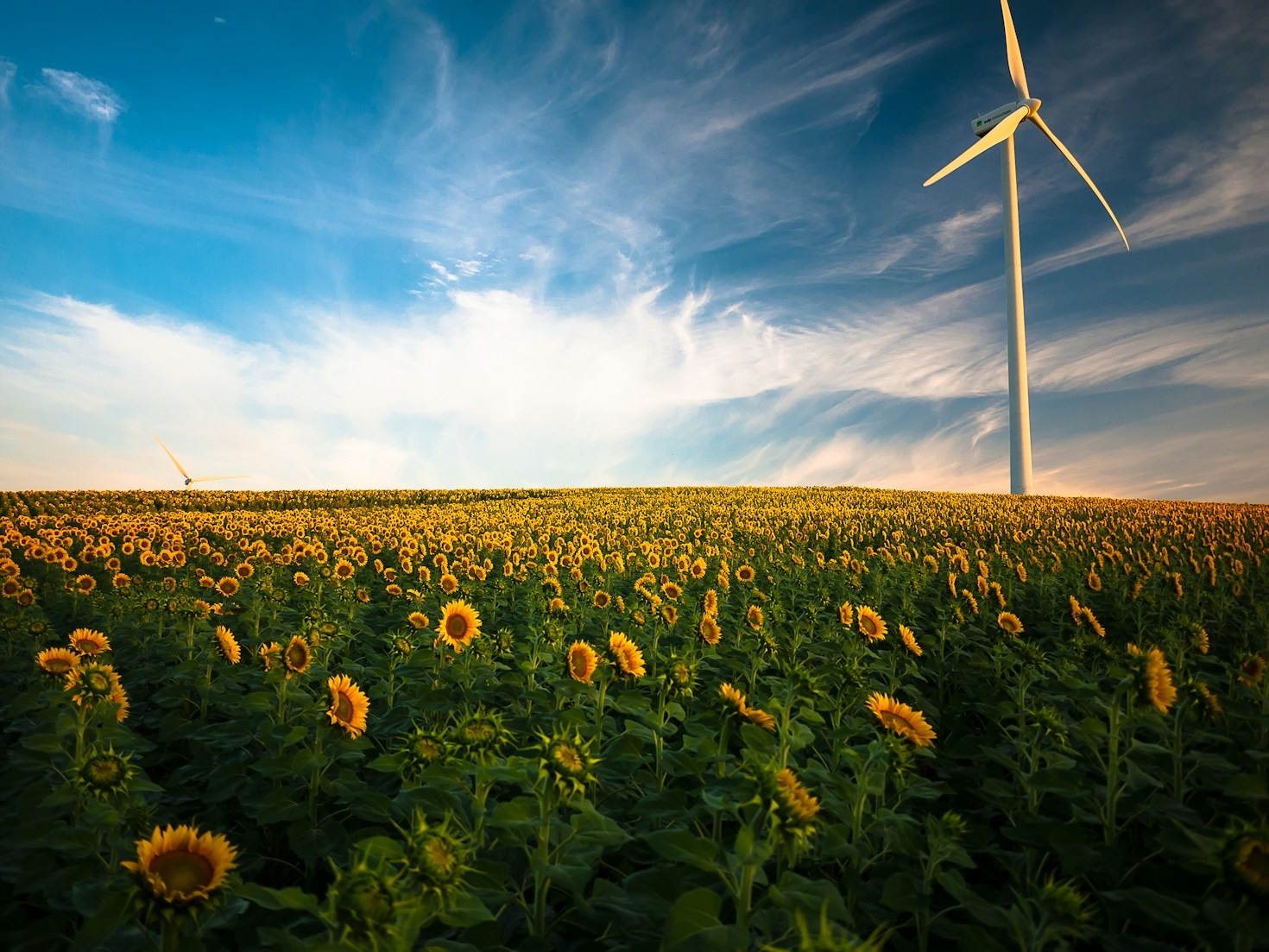 Steps to Embrace the Circular Economy in Daily Life