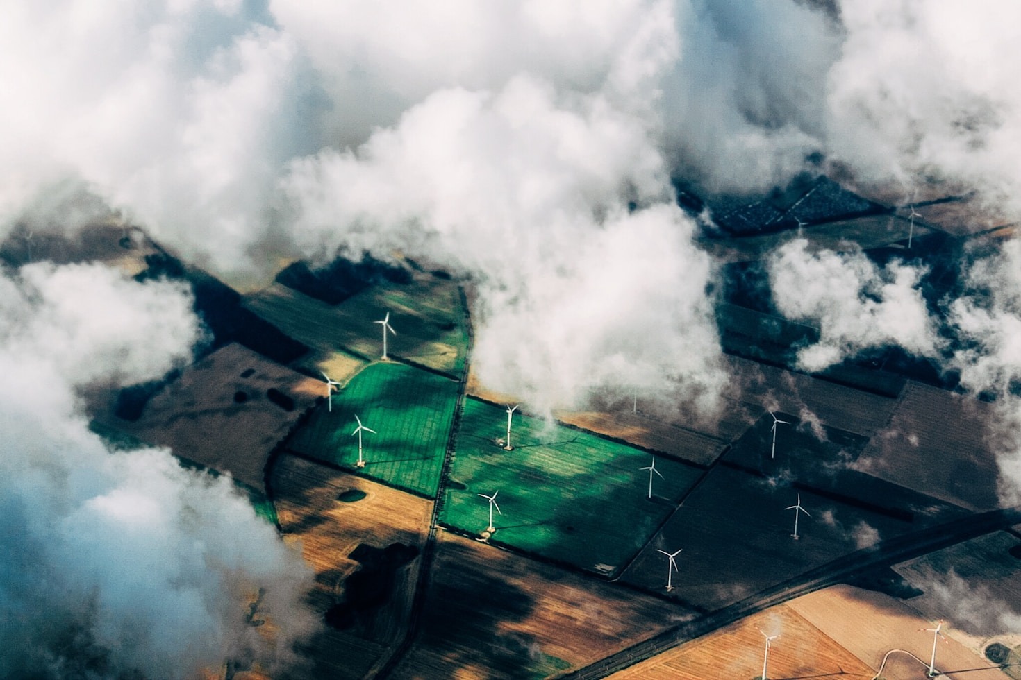 Volunteering for Environmental Change: How You Can Help