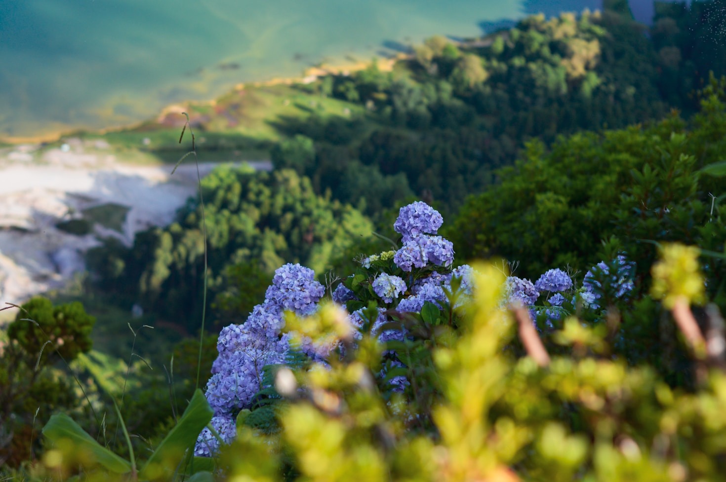 Eco-Friendly Practices for Cleaner and Greener Towns